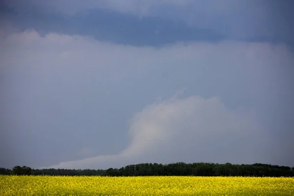 暴风雨的乌云加拿大 — 图库照片