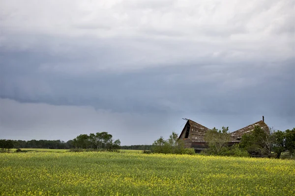 Gewitterwolken Kanada — Stockfoto