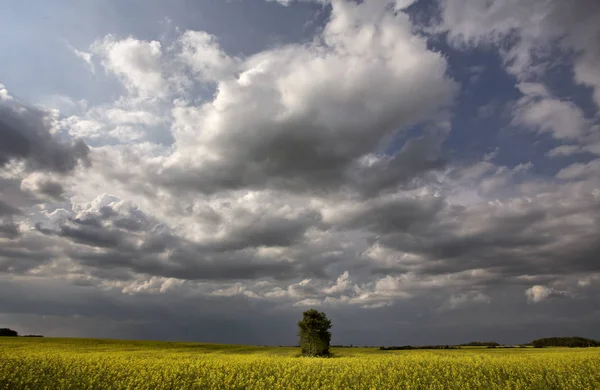 Nubes de tormenta Canadá —  Fotos de Stock