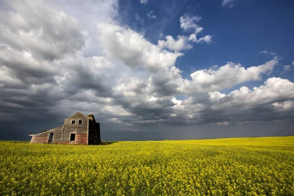 폭풍 구름 캐나다 버려진 집 — 스톡 사진
