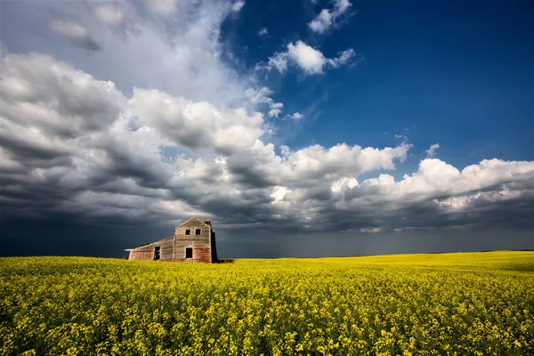 嵐の雲カナダ放棄家 — ストック写真