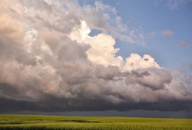 Fırtına bulutları Kanada