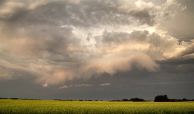 Fırtına bulutları Kanada
