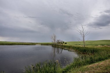Fırtına bulutları Kanada