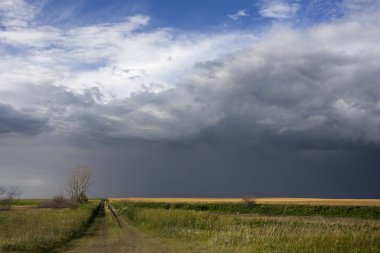 Fırtına bulutları Kanada