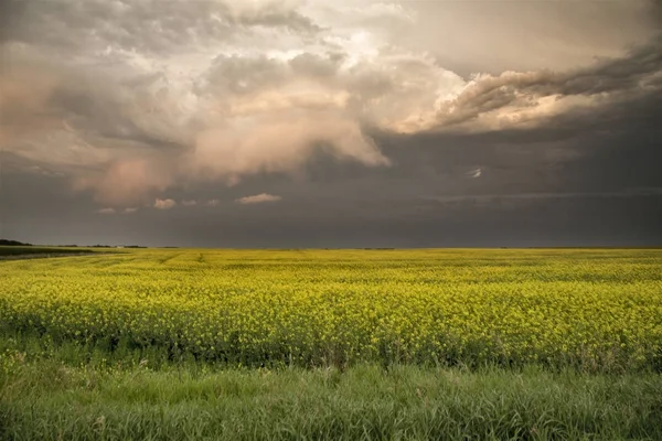 Nuvens de tempestade Canadá — Fotografia de Stock