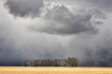 Saskatchewan Kanada manzara