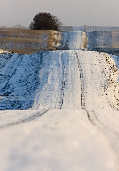 Prärien landskap vinter — Stockfoto