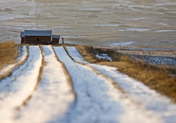 Zimní krajina prérie — Stock fotografie