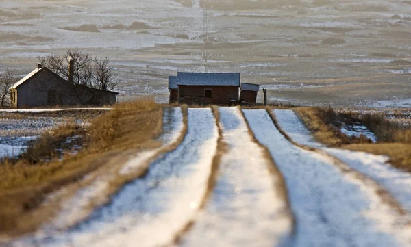 Prato Paesaggio Inverno — Foto Stock