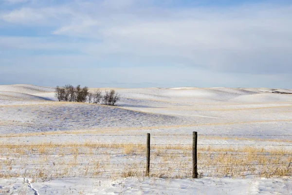 Paesaggio della prateria in inverno — Foto Stock