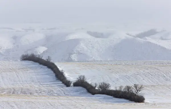 Escena de invierno Saskatchewan Badlands — Foto de Stock
