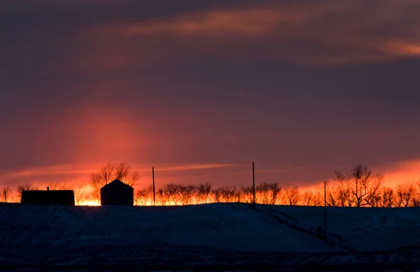 Winter Prairie Sunset — Stock Photo, Image