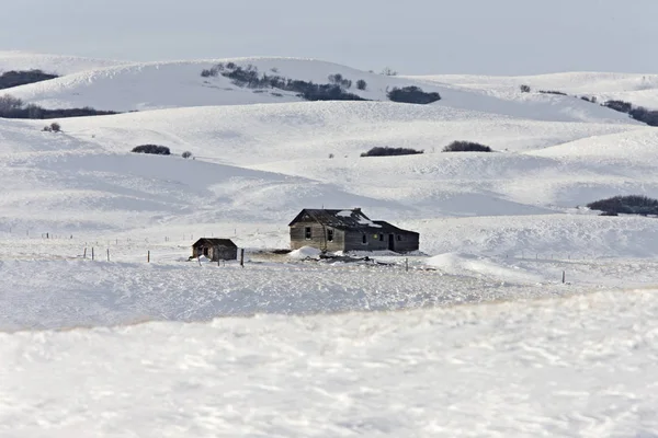 Winterlandschap Prairie — Stockfoto