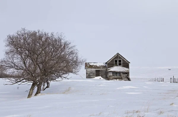 Exploração rural abandonada — Fotografia de Stock