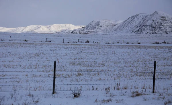 Vinter scen Saskatchewan Badlands — Stockfoto