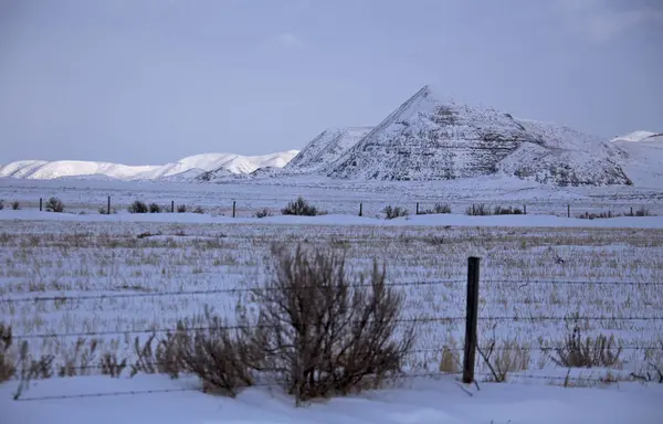 Vinter scen Saskatchewan Badlands — Stockfoto