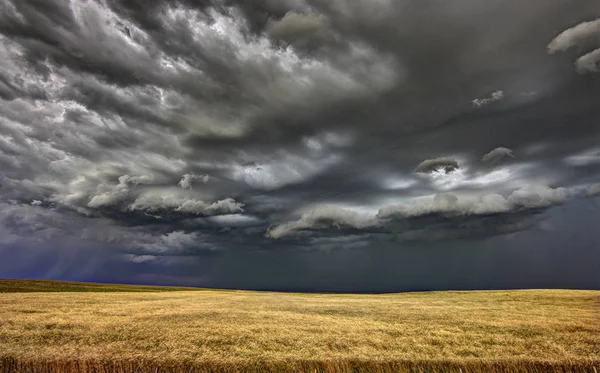 Prairie vihar Saskatchewan — Stock Fotó