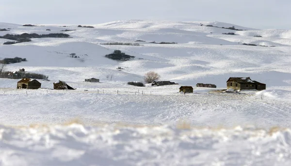 Winter Landscape Prairie — Stock Photo, Image