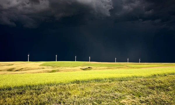 Çayır fırtına Saskatchewan