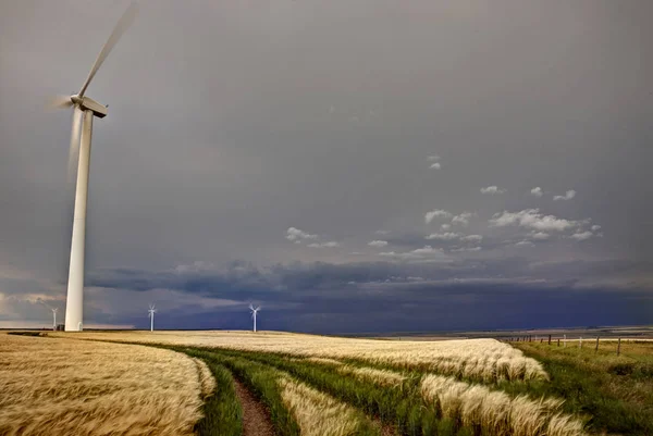 Wind Farm Gull Lake Saskatchewan — Stockfoto