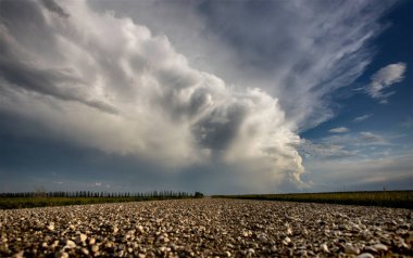 Bozkır Fırtınası Kanada 'yı Bulutlandırıyor