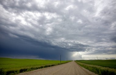 Bozkır Fırtınası Kanada 'yı Bulutlandırıyor
