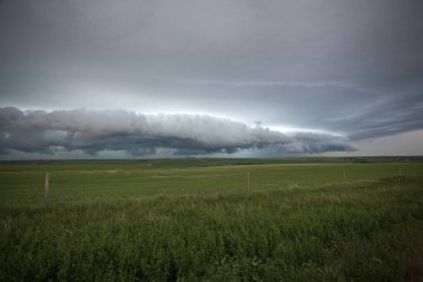 Bozkır Fırtınası Kanada 'yı Bulutlandırıyor