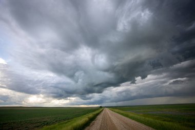 Bozkır Fırtınası Kanada 'yı Bulutlandırıyor
