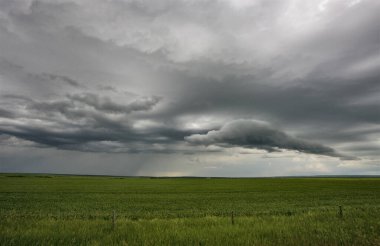 Bozkır Fırtınası Kanada 'yı Bulutlandırıyor