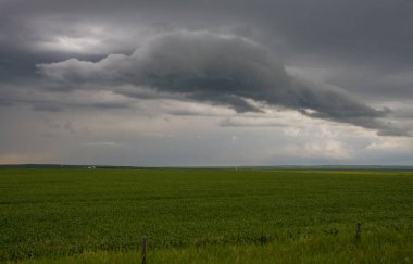 Bozkır Fırtınası Kanada 'yı Bulutlandırıyor