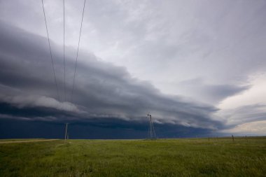Bozkır Fırtınası Kanada 'yı Bulutlandırıyor