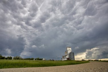 Bozkır Fırtınası Kanada 'yı Bulutlandırıyor