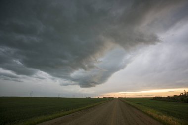 Bozkır Fırtınası Kanada 'yı Bulutlandırıyor