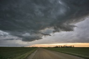 Bozkır Fırtınası Kanada 'yı Bulutlandırıyor