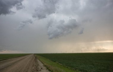 Bozkır Fırtınası Kanada 'yı Bulutlandırıyor