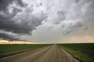 Bozkır Fırtınası Kanada 'yı Bulutlandırıyor