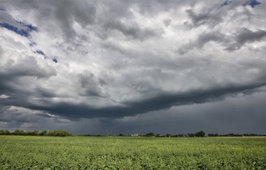 Bozkır Fırtınası Kanada 'yı Bulutlandırıyor