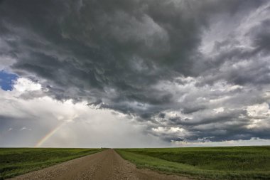 Bozkır Fırtınası Kanada 'yı Bulutlandırıyor