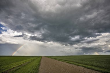 Bozkır Fırtınası Kanada 'yı Bulutlandırıyor