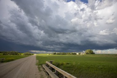 Bozkır Fırtınası Kanada 'yı Bulutlandırıyor