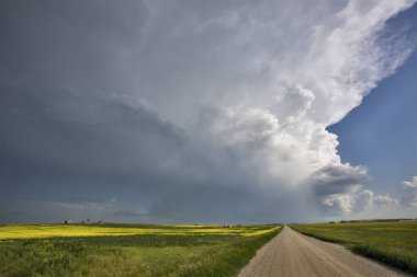Bozkır Fırtınası Kanada 'yı Bulutlandırıyor