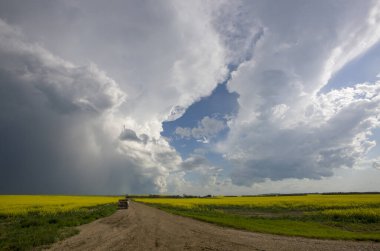 Bozkır Fırtınası Kanada 'yı Bulutlandırıyor