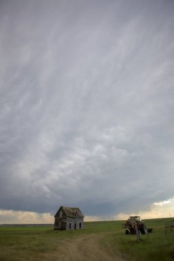 Bozkır Fırtınası Kanada 'yı Bulutlandırıyor