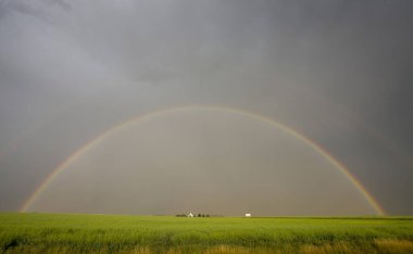 Bozkır Fırtınası Kanada 'yı Bulutlandırıyor