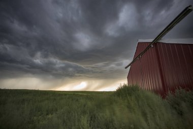 Bozkır Fırtınası Kanada 'yı Bulutlandırıyor