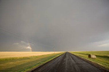 Bozkır Fırtınası Kanada 'yı Bulutlandırıyor