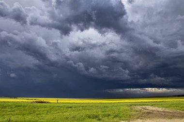 Bozkır Fırtınası Kanada 'yı Bulutlandırıyor