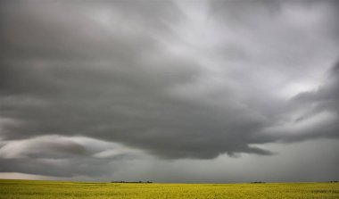 Bozkır Fırtınası Kanada 'yı Bulutlandırıyor