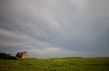 Bozkır Fırtınası Kanada 'yı Bulutlandırıyor